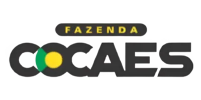 Cocaes